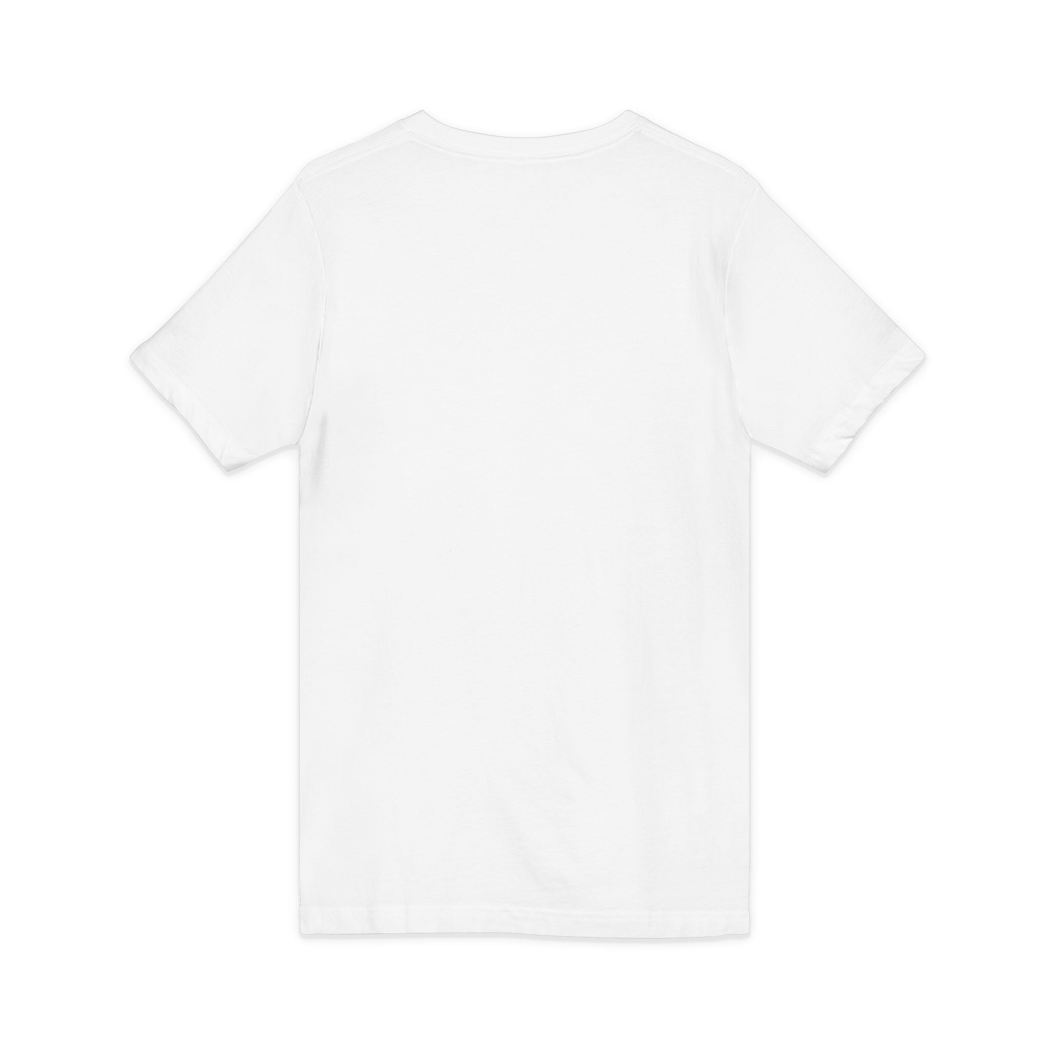 America's 250th Birthday T-shirt, Land of the Free, Unisex T-shirt